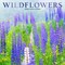Wildflowers | 2026 12 x 24 Inch (Hanging) Monthly Square Wall Calendar | Foil Stamped Cover
